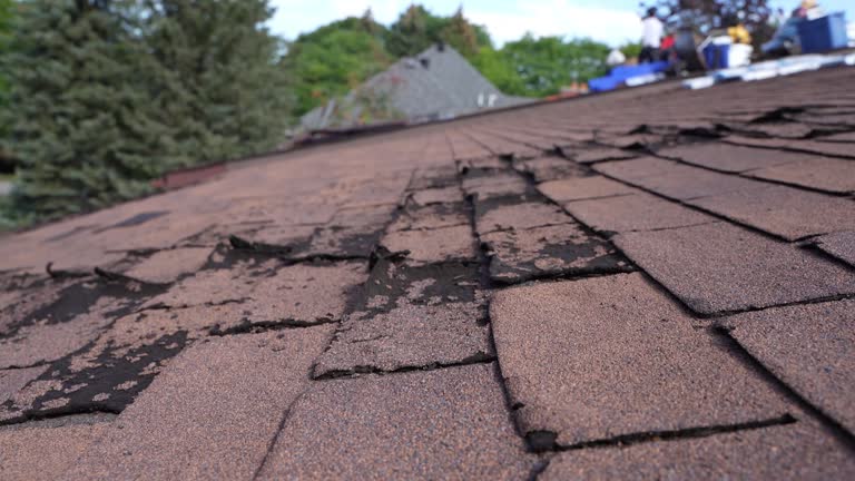 Best Roof Ventilation Installation  in Waseca, MN