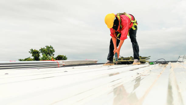 Best Chimney Flashing Repair  in Waseca, MN
