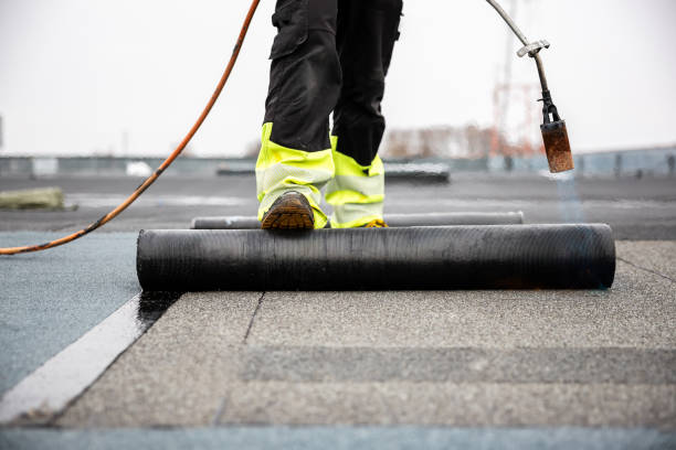 Best Roof Insulation Installation  in Waseca, MN