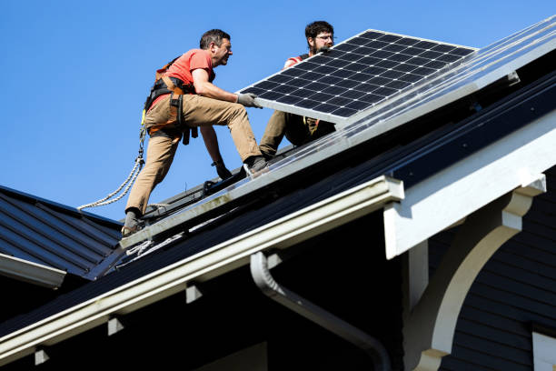 Best Roof Moss and Algae Removal  in Waseca, MN